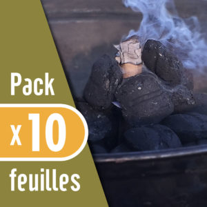 FlaMagic – Allume-feu – Pack de 10 – Image 3