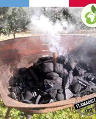 photo-produit-allume-feux-barbecue-flamagic