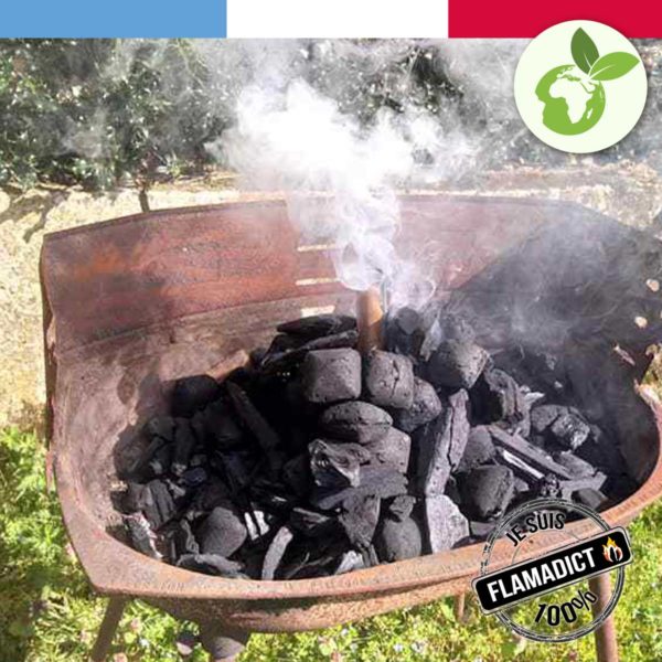 allume feu pour barbecue Flamagic